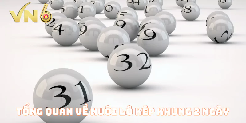 Tổng quan về nuôi lô kép khung 2 ngày